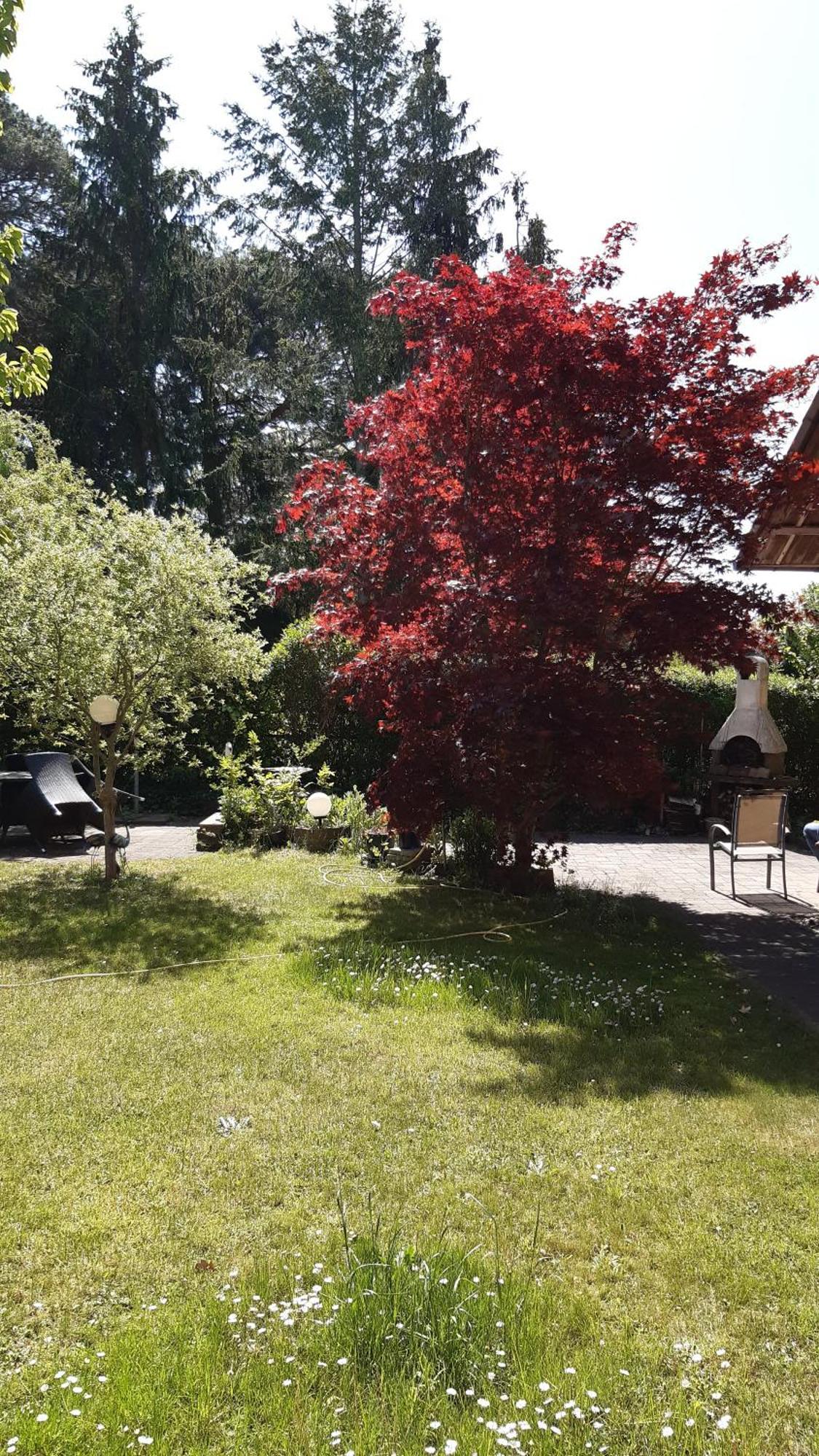 Ferienwohnung Luise, Gemuetlich, Freundlich Und Ganz Nah An Berlin Oranienburg Exterior foto
